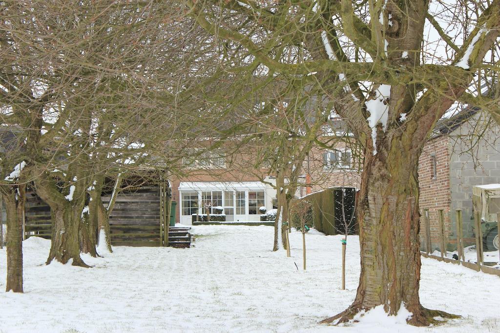 B&B Den Boomgaard Moorsel Eksteriør billede